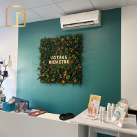 Alice DELEPINE - CasaBelle